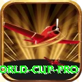 2019 world cup Deluxe - Casino & Slots