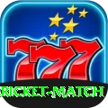all cricket match Premium Edition v4.2.7