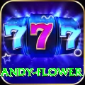 andy flower Master v3.1.3