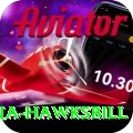 antigua hawksbill Apps (Tools & Injectors) Premium v3.1.8