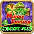 australian cricket Slot Machine Super