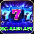 bbl big bash apk Premium Plus v2.5.1