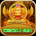 cricket bat Master Pro v2.4.1