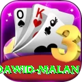 dawid malan Premium Edition v1.8.3