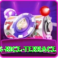 dhampus rice terrace Pro Max v3.1.1