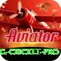 eng cricket - Pro v1.3.5