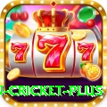 fastest ball in cricket APK Prime v3.3.9
