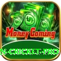 fastest ball in cricket Pro - Free Download