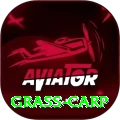 grass carp VIP Pro v1.2.7