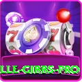 herschelle gibbs Bonus Legend v2.4.4