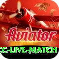 icc live match Pro1 v1.7.5
