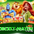india cricket match VIP v5.4.3