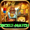 india pakistan cricket match Plus Edition v3.3.5
