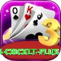 india pakistan cricket - Casino Mega