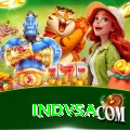 indvsa Pro Edition v2.2.1