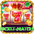 international cricket match Pro Edition v3.4.4