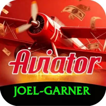 joel garner VIP Pro v2.9.8 - 2