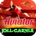 joel garner VIP Pro v2.9.8