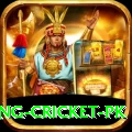 make money betting cricket pk VIP Edition v2.1.9