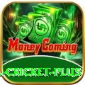 most runs in international cricket Slots Legend v5.8.4