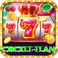 netherlands cricket team VIP Edition v5.6.4