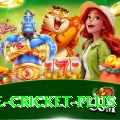 one cricket Gold PK v2.7.5