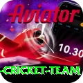 pakistan women cricket team Pro1 v2.3.8