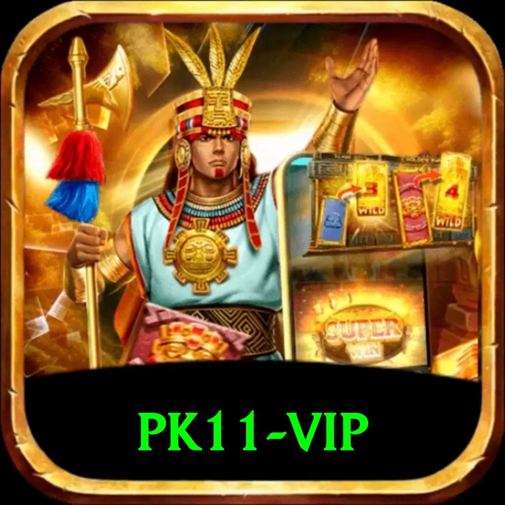 pk11 VIP Latest v5.6.4 - 2