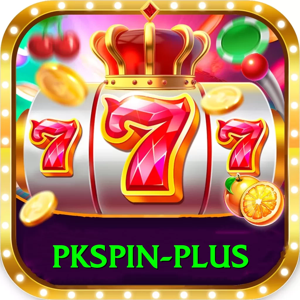 pkspin Premium Edition v3.1.2 - 2