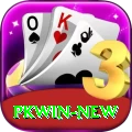 pkwin VIP v2.6.4