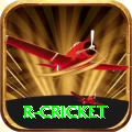 r cricket Pro Edition v2.0.0