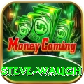 steve waugh Apps (Tools & Injectors) Gold v5.2.7