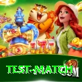 test match Premium Edition v1.9.9