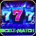 to day cricket match Turbo Pro v2.9.4