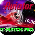 to day cricket match - Mega v2.3.8