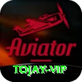 tojay VIP Edition v5.2.3