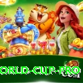 u19 world cup VIP New