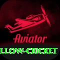 willow cricket VIP v3.6.3