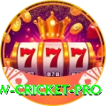 willow cricket - VIP Gold